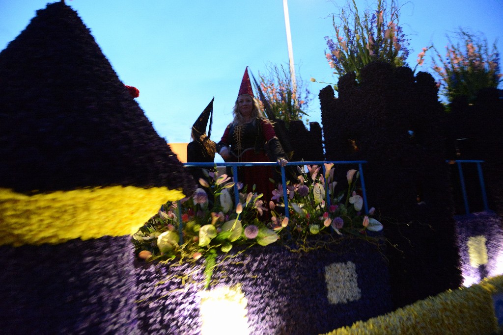 ../Images/Bloemencorso 2015 133.jpg